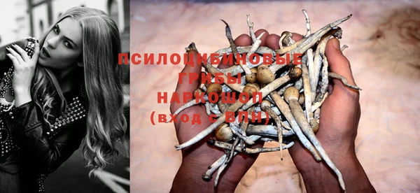 стаф Белоозёрский