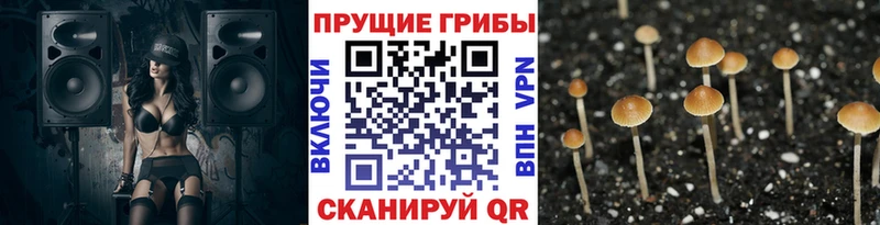 Псилоцибиновые грибы ЛСД купить наркотики цена Назарово